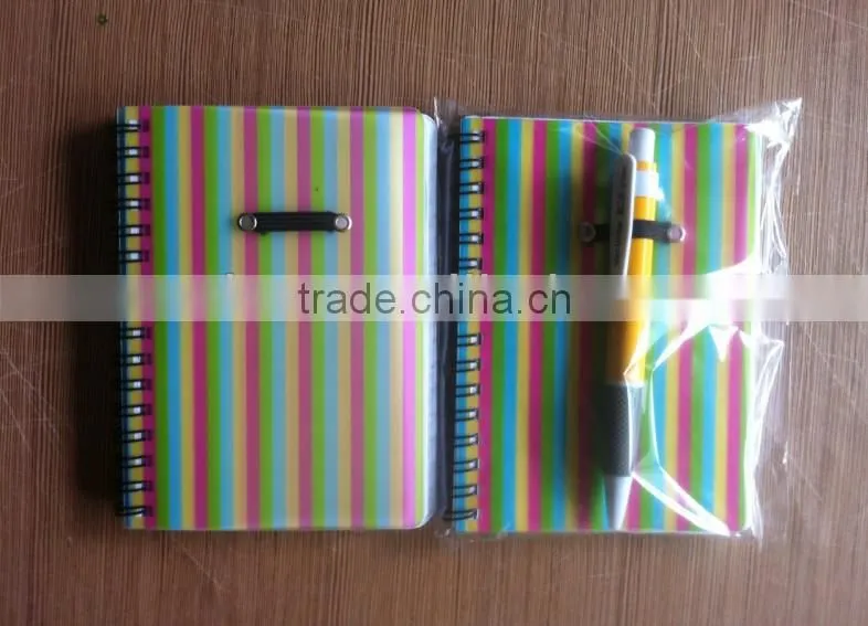 Spiral diary with pen