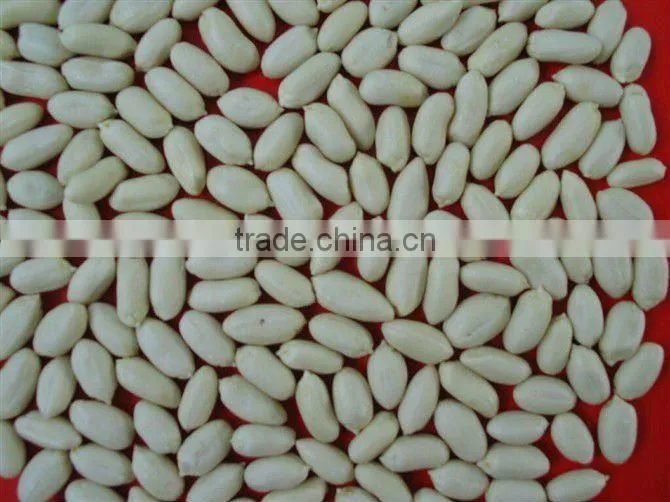 Blanched peanut kernels 2 x 12.5kgs vaccum packing