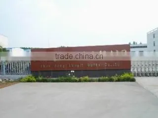 Shandong Longli Belt Co., Ltd. company overview - view 1
