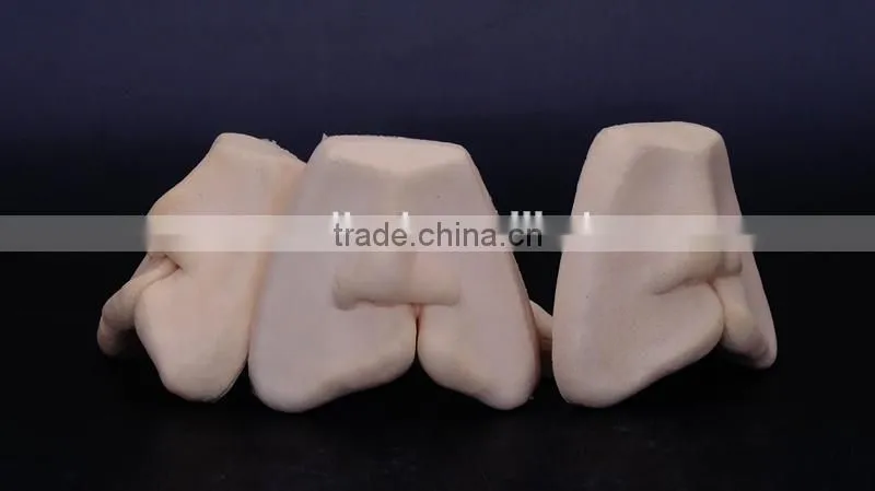 Dental cleft lip suture models DEA-33