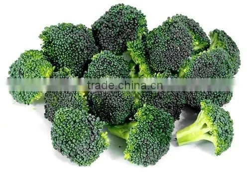 IQF Broccoli