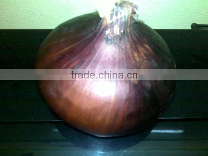 Fresh (RED ,Yellow , White ) ONION