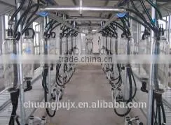 Herringbone Milking Parlor 2x10 with milk flow meter cow Milking Parlor