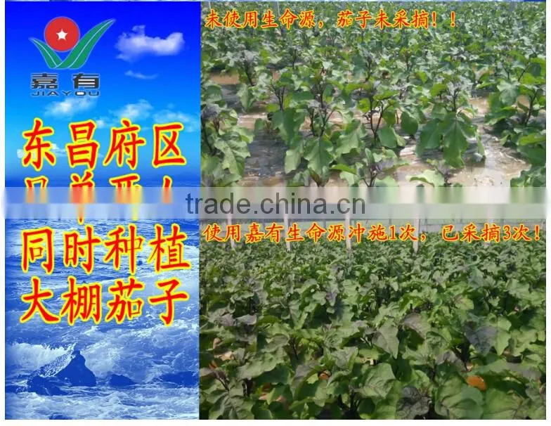 Fulvic Acid Water Soluble Series NPK Fertilizer, Suitable for Field and All Kinds of Economic Crops