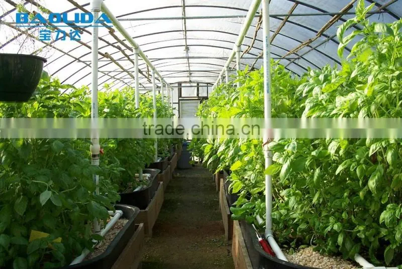 chengdu BaoLiDa low price multi-span PC shed greenhouse PC sheet greenhouse vegetable greenhouse