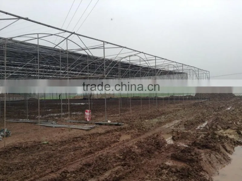 low cost Polyethylene Film greenhouse for vegetables