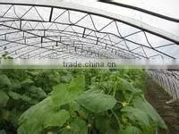 anti-uv agricultural plastic film