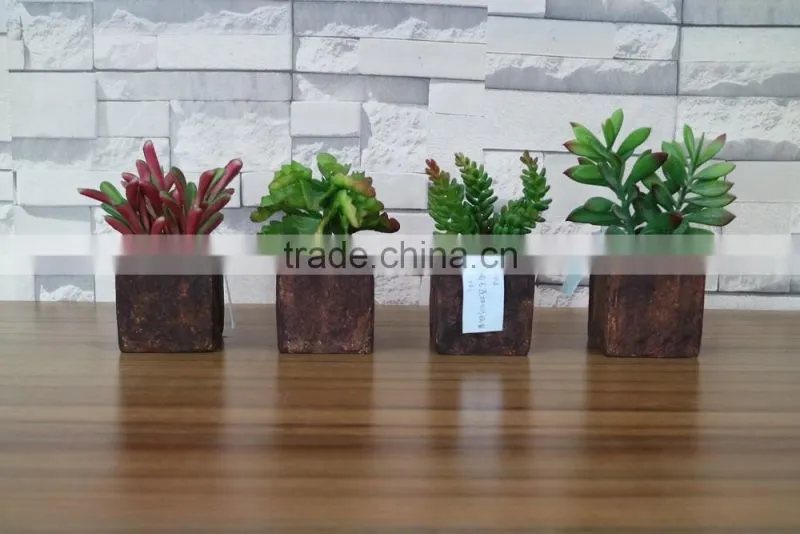 plastic mini succulent plants arrangement in pot