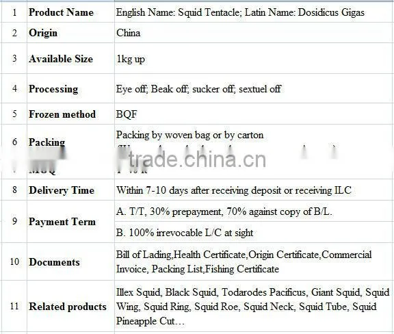 Giant squid tentacle