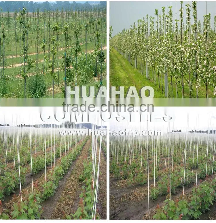 Fiberglass Garden Plant Support,High Strength Flexible Super UV Durable fiberglass plant support rod fast delivery