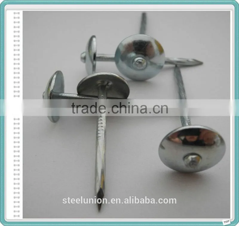 roofing nails/roofing nail supplies