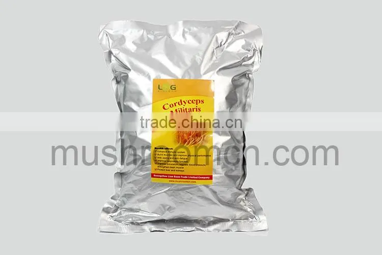 Chinese Dry Cordyceps Fungi Fruit Body