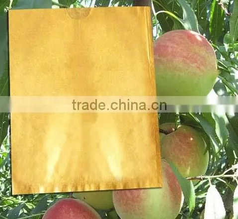 Paper material fruit paper bag