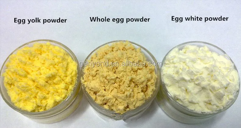 Dried Whole Egg Processing Line / Whole Egg Powder Making Machine