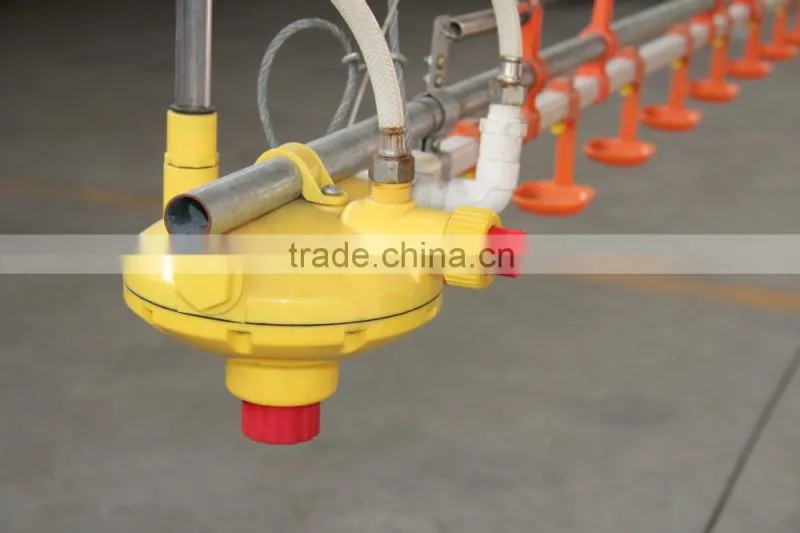 Automatic poultry nipple drinking system