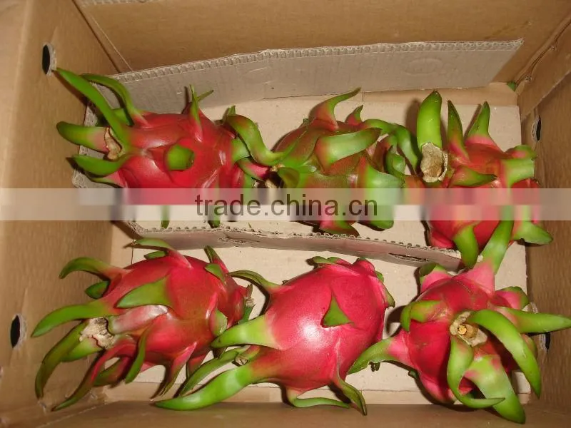 Fresh Dragon Fruit