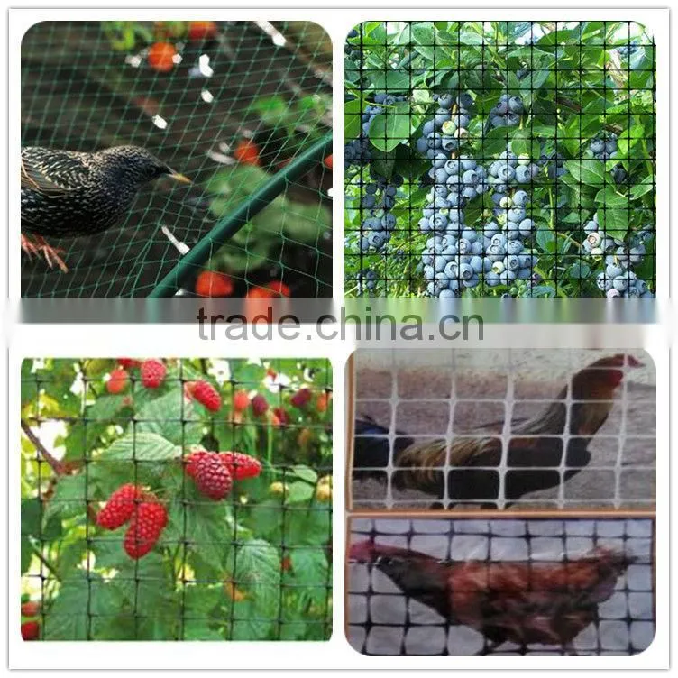 100% new material plastic anti bird net with uv treated bop stretch net