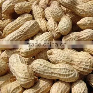 Peanut kernels