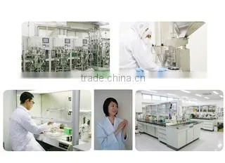 Mirai Co., Ltd. company overview - view 2