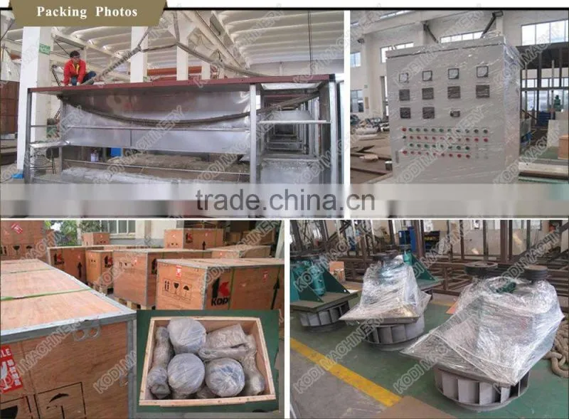 DW Model Continuous Sunflower Seeds Mesh Conveyor Belt Dryer