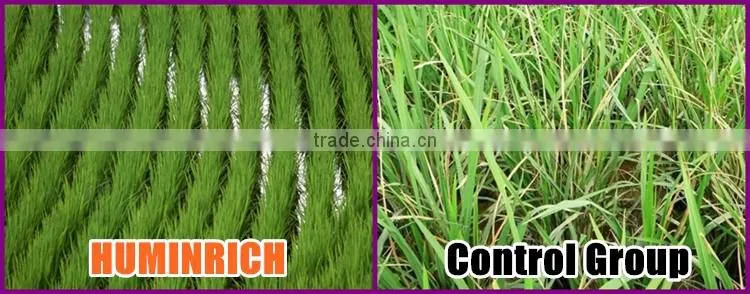 Huminrich Shenyang SH9002-5 Insoluble Humic Acid Granular Form For Rice