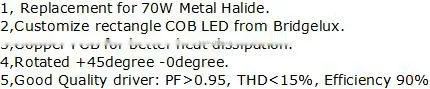 40W Customize rectangle COB 45 degree rotated shop downlight