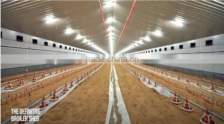 feeding pan chicken broiler equipment chicken farm