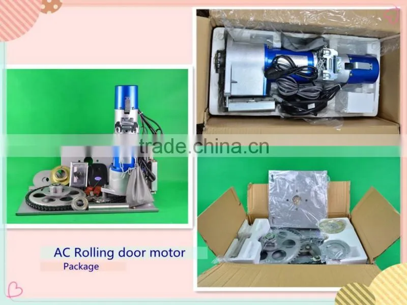 Electric ac overhead door side motor for 800KG gate
