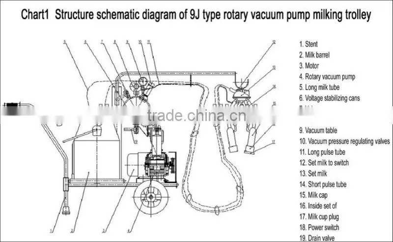 rotary vane vacuum pump type milking machine (two buckets)