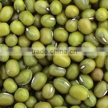Green Mung bean beans 2010