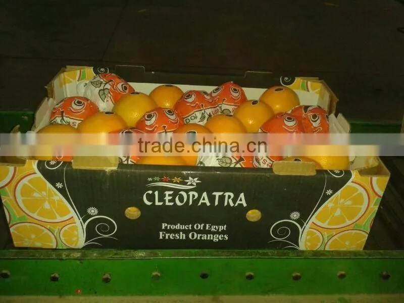 Avilable MOQ of Oranges and Lemons @ Forwell