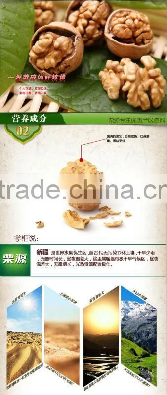 xinjiang walnut