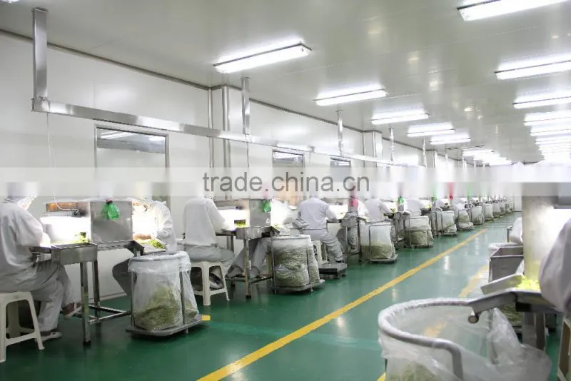 Dried cabbage cutter shredder wholesales