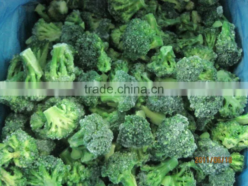 Frozen broccoli with best price, frozen vegetable