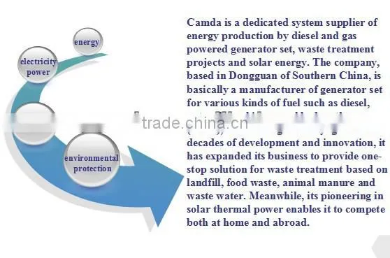 Ce And Iso Approved Biogas Generator / Natural Gas Generator / Biomass Power Plant