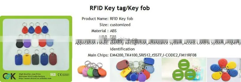 Various color plastic tag NTAG213 keyfob/keyring