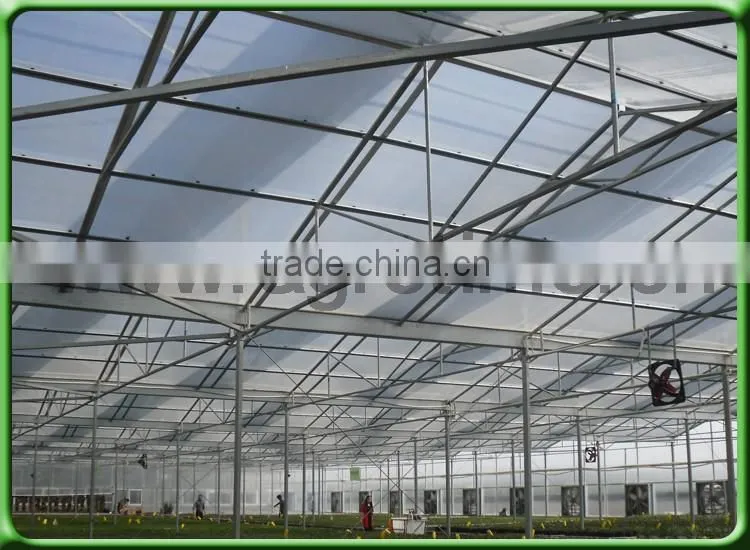 Multi-span Polycarbonate plastic sheet greenhouse for agriculture