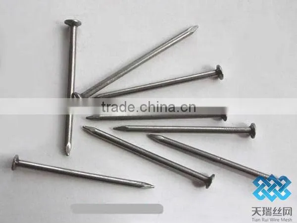 common wire nail/polished common nail/bright common nail