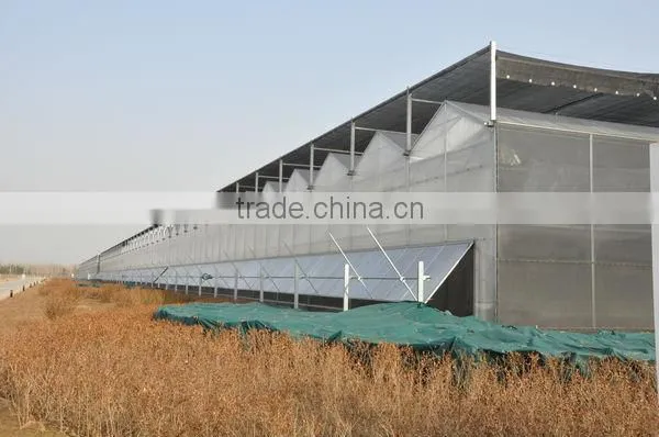 Venlo Roof Type Glass Greenhouse