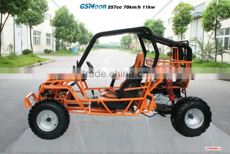 powerfull 250cc go kart with C.V.T system