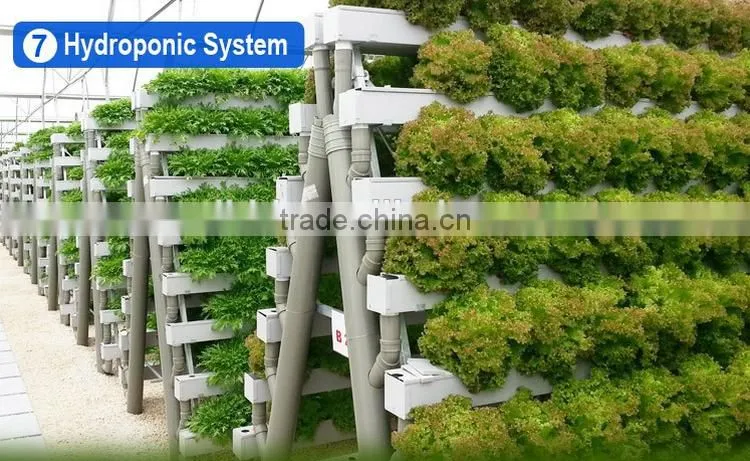 Cheap greenhouse panel clips