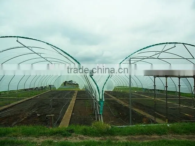 agriculture used polythene film covering greenhouse