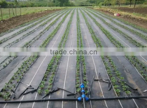 plastic anti weed mat