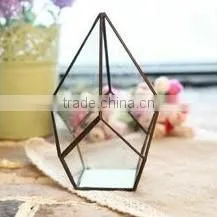 Micro landscape plant glass greenhouse clear geometric terrarium