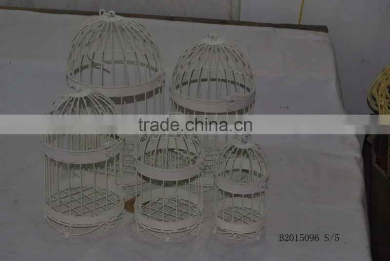 Big birdcage