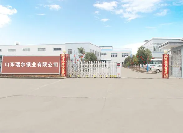 Shandong Ruier Seal Co., Ltd. company overview - view 1