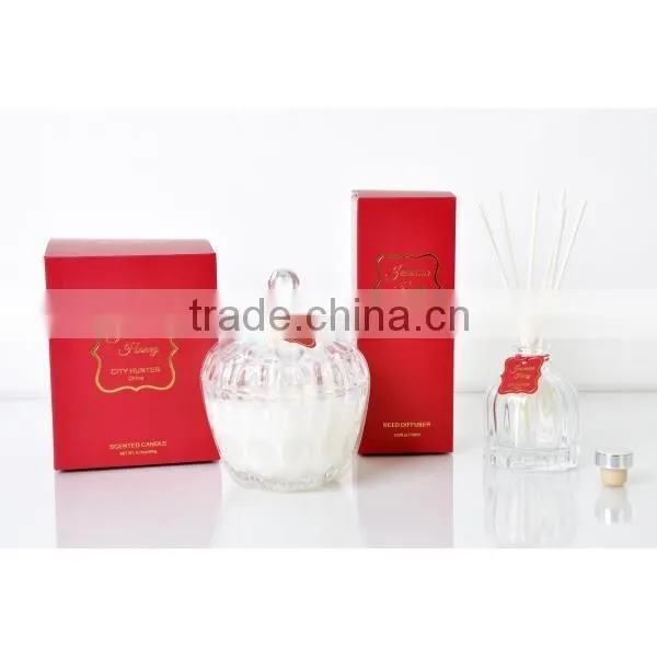 100ml Air Freshener Home fragrance Reed Diffuser with glass bottle SA-2500