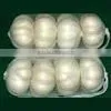 Chinese White garlic