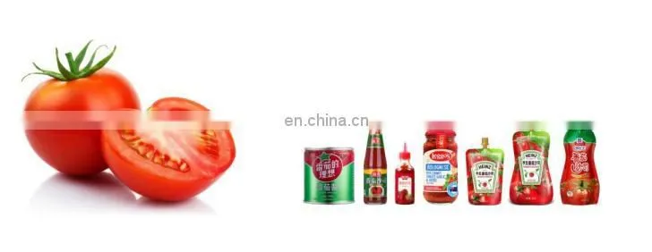 China factory pineapple juice production plant apple juice making machines