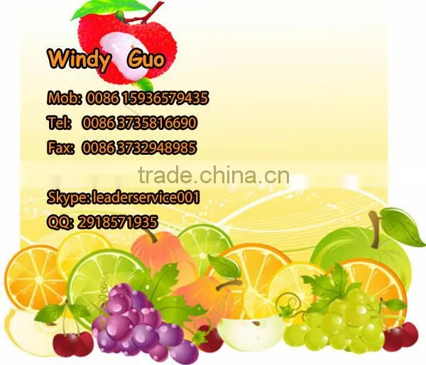 Leader large capacity and high peeling rate litchi skin separater machine